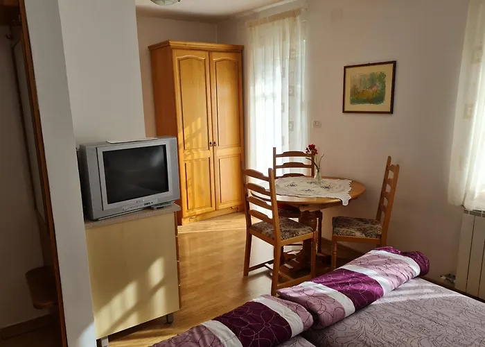 Apartament House Hosnar By Penzion Hosnar Bovec